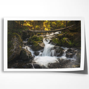 Hidden Cascades