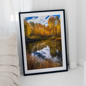 The Autumn Mirror