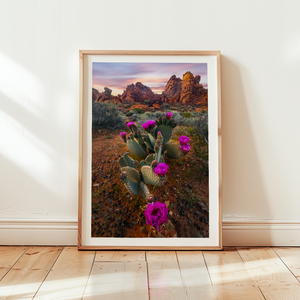 Desert Blumes