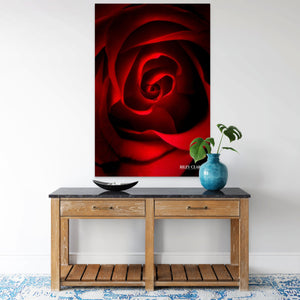 Scarlet Elegance