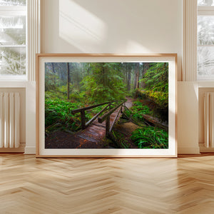 Enchanted Passage