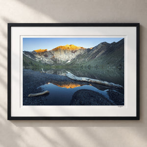 Still Reflections