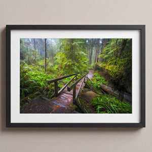 Enchanted Passage