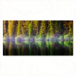 Coastal Pines