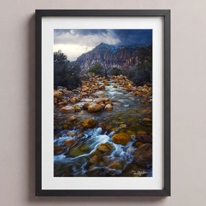 Disappearing Creek