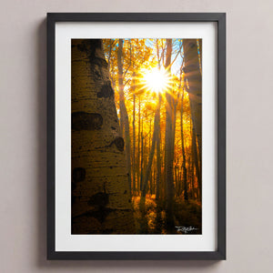 Golden Burst