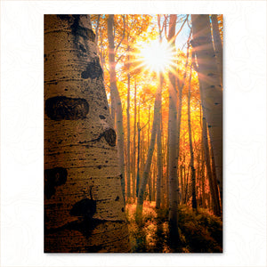 Golden Burst