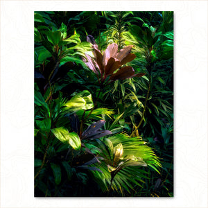In The Jungle