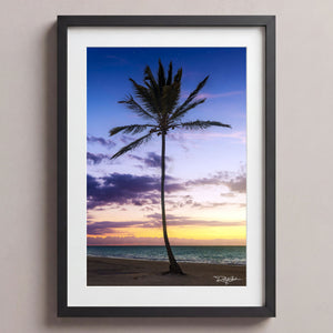 Lone Palm