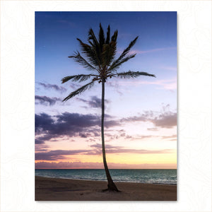 Lone Palm