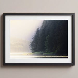 Mist and Shadow