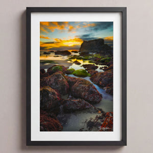 Starfish Sunsets