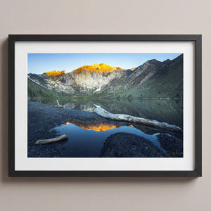 Still Reflections
