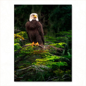 Stoic