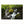 A Beautiful Mess