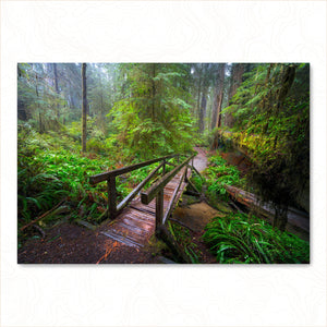 Enchanted Passage