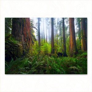 Ancient Giants