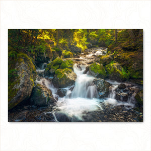 Hidden Cascades