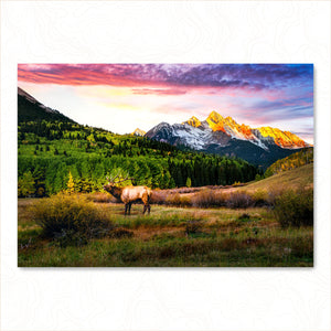 Mountain Song