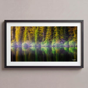 Coastal Pines