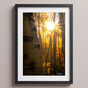 Golden Burst