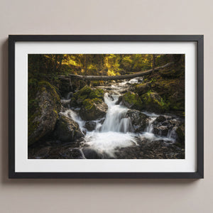Hidden Cascades Midnight Black