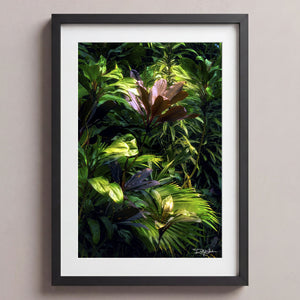 In The Jungle Midnight Black