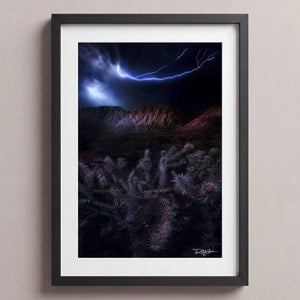 Lighting The Way Midnight Black