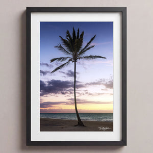 Lone Palm Midnight Black