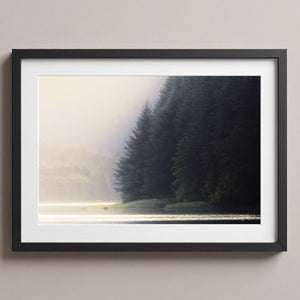 Mist and Shadow Midnight Black