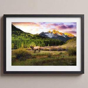 Mountain Song Midnight Black