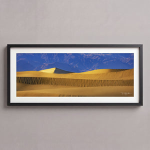 Out In The Dunes Midnight Black