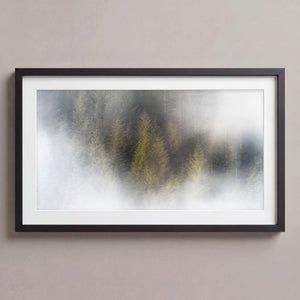 Serenity Midnight Black