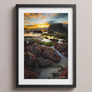 Starfish Sunsets Midnight Black