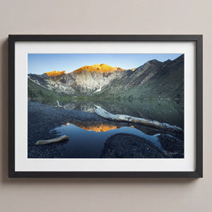 Still Reflections