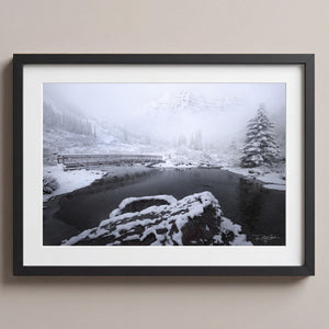 Winter Wonderland Midnight Black
