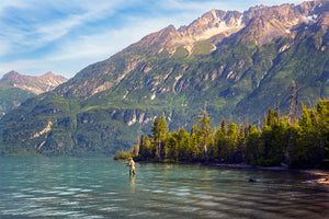 Gone Fishing