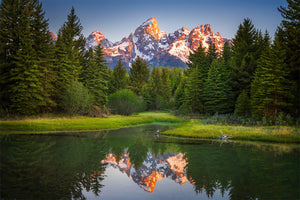 Grand Reflection