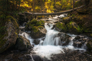 Hidden Cascades