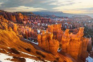Morning Light At Bryce
