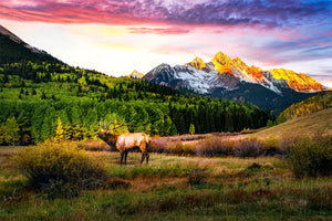 Mountain Song
