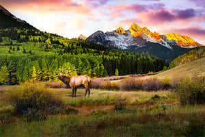 Mountain Song