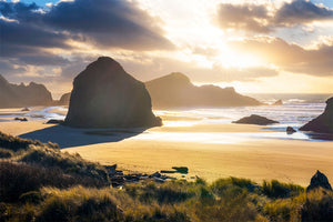 Rocky Shores
