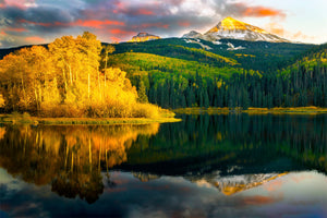 Seasons Reflected