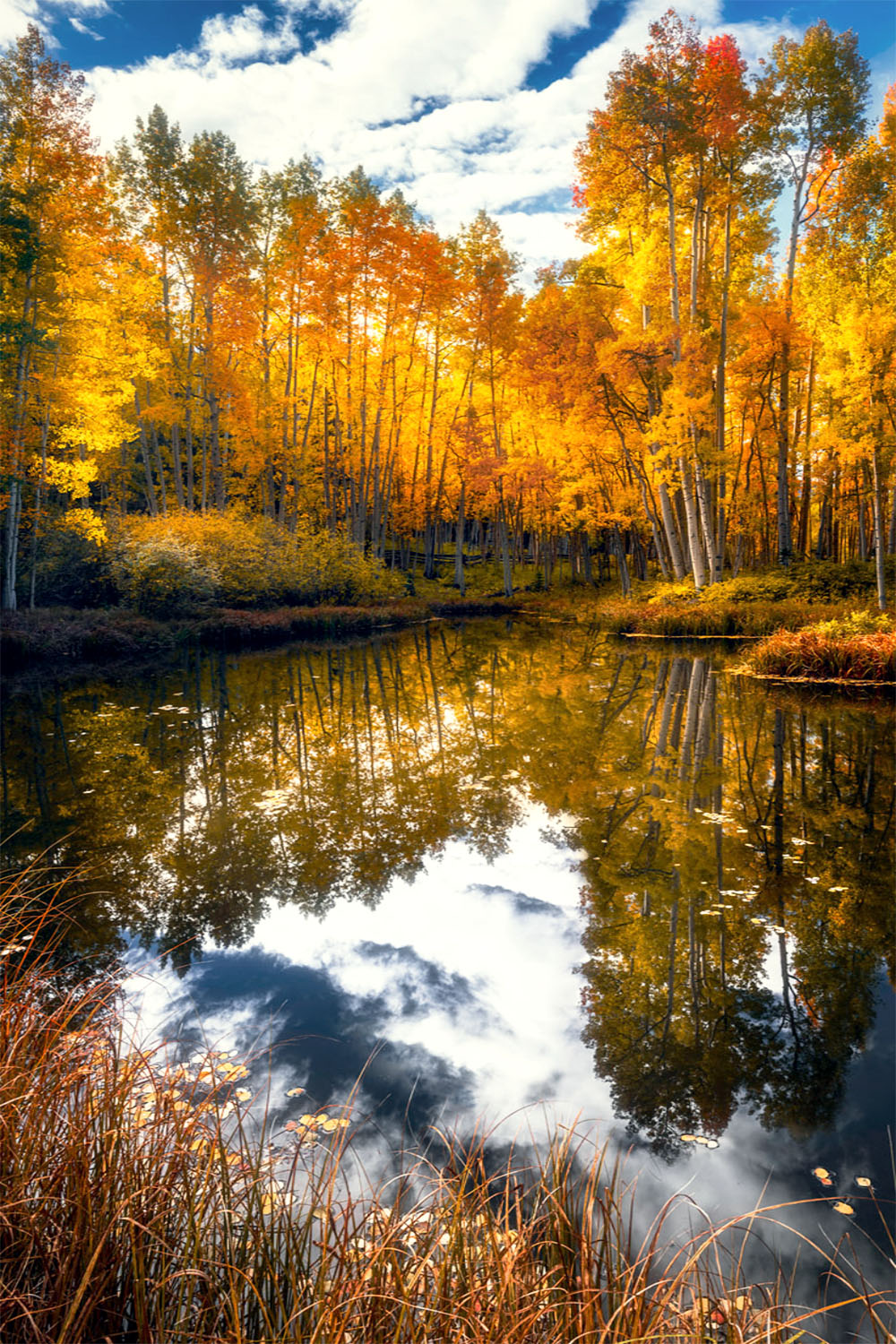 The Autumn Mirror – Riley Clark Fine Art