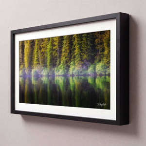Coastal Pines