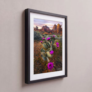 Desert Blumes