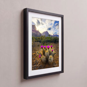Arid Spring