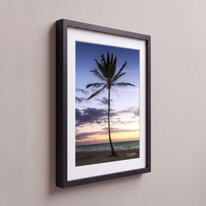 Lone Palm