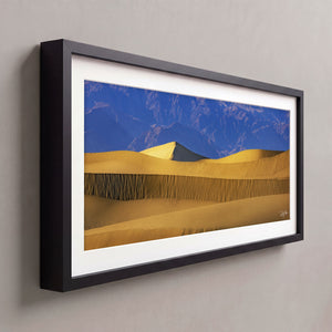 Out In The Dunes